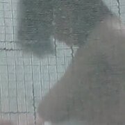 NYCWallCrawler