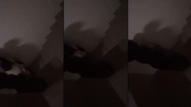 Học sinh quan hệ tình dục ở cầu thang trường luyện thi