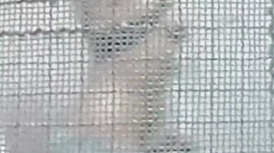 馬來西亞 青少年 偷窺狂