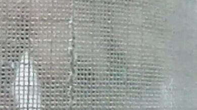 馬來西亞 青少年 偷窺狂