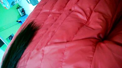 Office and female secretary affair