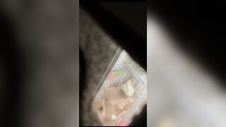 朋友鄰居妹妹洗澡2