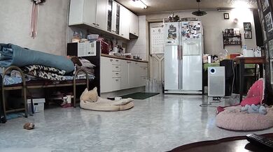 Daily_Life_of_Jeju_Air_Stewardess_2