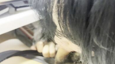 College Couple Caught Having Sex in Dorm and Classroom, Girl Pleads to Stop