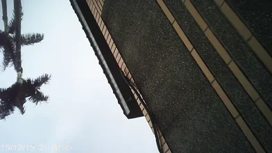 女中