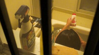 15303087-homebath