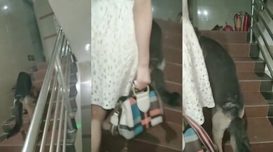 No Insider Photography-7